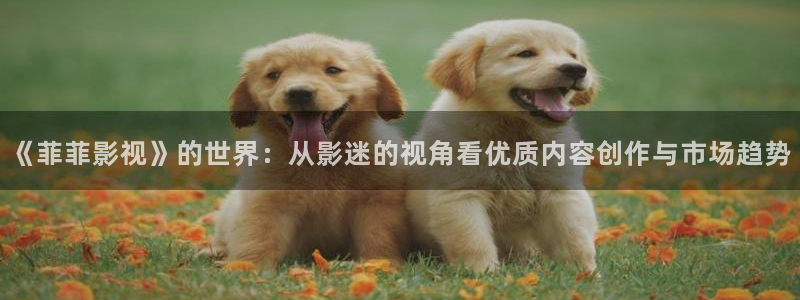 橘子电影完整版免费观看