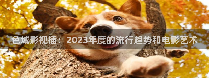 橘子视频app免费