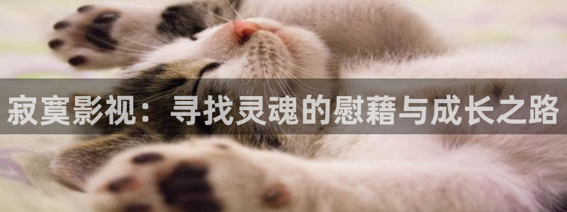 橘子视频官网网址