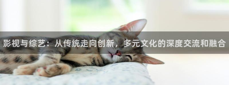 橘子和桔子有什么区别