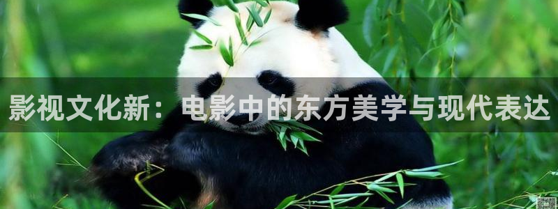 橘子电视剧